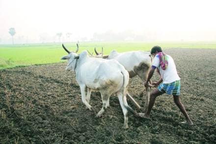 Farmer groups are planning to hold ‘Gram Sabhas’ the first of which will be held in Punatambe village of Ahmednagar district on April 3