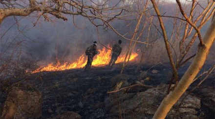 The fire engulfed the Pilot Plan III building of NCL and five fire tenders and two water tankers were deployed to douse it. (ANI)