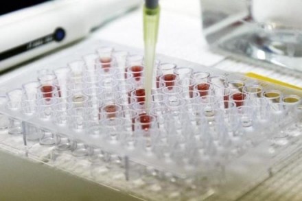 BIRAC supports entrepreneurs and start-ups at different stages of innovation – from the ideation stage to managing intellectual property rights and finally to the commercialisation of products. (Reuters) BIRAC supports entrepreneurs and start-ups at different stages of innovation – from the ideation stage to managing intellectual property rights and finally to the commercialisation of products. (Reuters)