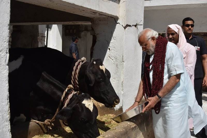 narendra modi, narendra modi news, narendra modi varanasi, narendra modi pictures, narendra modi pics, modi in varanasi, uttar pradesh, up elections, bjp, modi rally