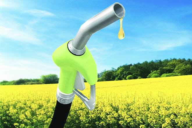 We can make available used cooking oil (UCO) and oilseeds grown in tribal areas for biodiesel production.