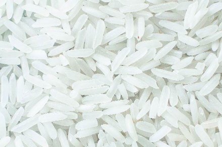 The Confederation of Indian Industry (CII) along with the International Rice Research Institute (IRRI) and the International Food Policy Research Institute (IFPRI) had organised a technology, strategy and policy conference on Rice.