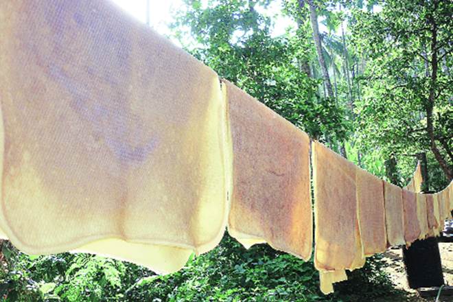 Rubber Board of India had forecast an increase in output by 16% in the current season compared to the previous season.