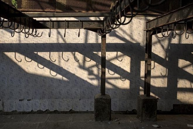 Illegal slaughterhouses can lead to various environmental issues and diseases. (Source: PTI) 