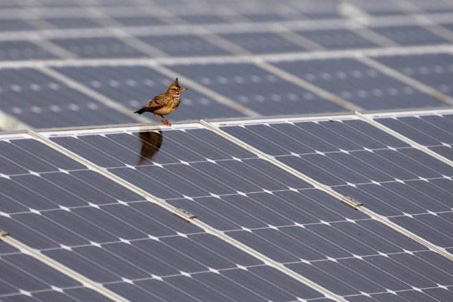 Centre has taken country's solar power generation capacity to next level by installing India's largest Solar PV Plant at Kayamkulam, Kerala. (Reuters) Centre has taken country's solar power generation capacity to next level by installing India's largest Solar PV Plant at Kayamkulam, Kerala. (Reuters)