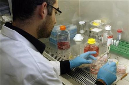 Scientists have found that stem cell therapy repairs damaged lungs. (Reuters)