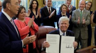 Donald Trump, MS-13, Street Gang, United states, Central American