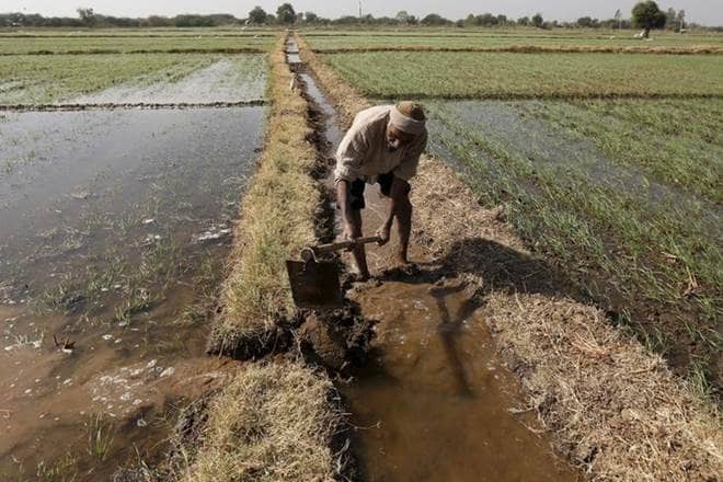 Even private parties are entering agricultural research. (Reuters) 