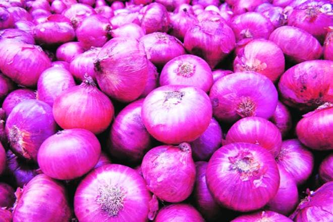 Government of Maharashtra, Arun Jaitley, finance ministry, onion export, onion export in india, Merchandise Export, APMC, production