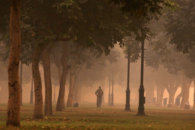 Environment Minister Anil Madhav Dave, in a written reply in the Rajya Sabha, said while in 2014-15 fiscal, 6,161 trees were cut, in 2015-16 financial year, 4,689 trees were cut. The number of trees cut in 2016-17 was 4,759. (Reuters) Environment Minister Anil Madhav Dave, in a written reply in the Rajya Sabha, said while in 2014-15 fiscal, 6,161 trees were cut, in 2015-16 financial year, 4,689 trees were cut. The number of trees cut in 2016-17 was 4,759. (Reuters)