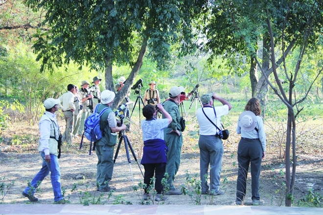 s per figures released by the ministry of tourism, the number of foreign tourist arrivals in India in January this year was 9.83 lakh compared to 8.44 lakh in January last year.