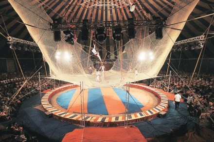 For many tourists, the circus is one way of knowing more about a country through performing arts. While India has a big pool of artists, there is a dearth of opportunities.