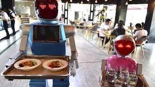 Salad, Robots, Sally, Chowbotics Inc., Deepak Sekar, Google, California, Cuisine, Food, Chef, Robot Chef