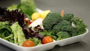 Diet food, Physiology & Behavior, University of Georgia, Diet products, Balenced diet