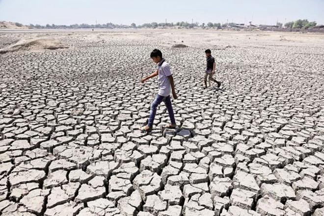 More alarm bells rang in February. Grasim Industries Ltd., controlled by the Aditya Birla Group, shut its 73,000 ton-a-year rayon grade pulp unit in Karnataka, citing “severe drought conditions.” (AP)