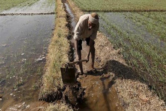 Currently, electricity is provided to farmers for agriculture pumps at 0.85 paise per unit. (Reuters) Currently, electricity is provided to farmers for agriculture pumps at 0.85 paise per unit. (Reuters)