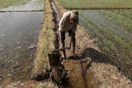 Currently, electricity is provided to farmers for agriculture pumps at 0.85 paise per unit. (Reuters)