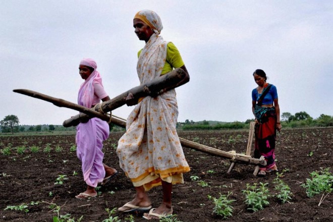 The Congress today said it will waive farm loans if it came to power in Gujarat. (PTI) The Congress today said it will waive farm loans if it came to power in Gujarat. (PTI)