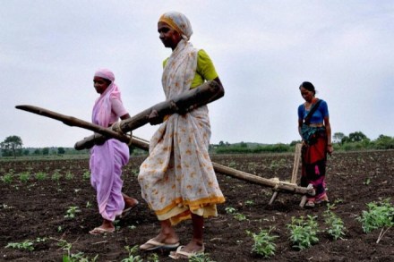 The Congress today said it will waive farm loans if it came to power in Gujarat. (PTI) The Congress today said it will waive farm loans if it came to power in Gujarat. (PTI)
