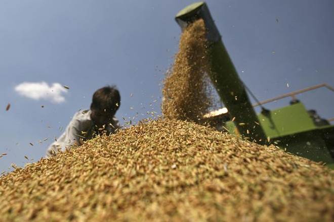 The Centre's food subsidy budget has increased 61% to Rs 1.45 lakh crore (budget estimate) for the current fiscal from Rs 89,740 crore in 2013-14. (Reuters)