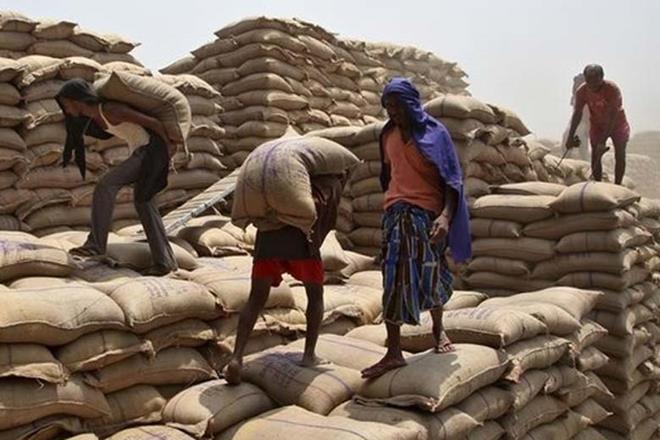 The ministry releases four estimates at different stages of crop growth before the final figures which are usually released in July. (PTI) The ministry releases four estimates at different stages of crop growth before the final figures which are usually released in July. (PTI)