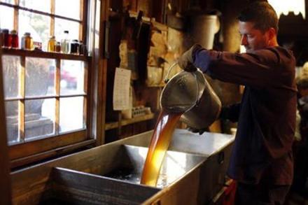 Pure maple syrup may help protect the body against chronic inflammation which can potentially lead to brain conditions such as Alzheimer's disease. (Reuters)