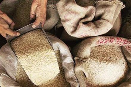 India is the leading exporter of the basmati rice in the global market. (PTI)