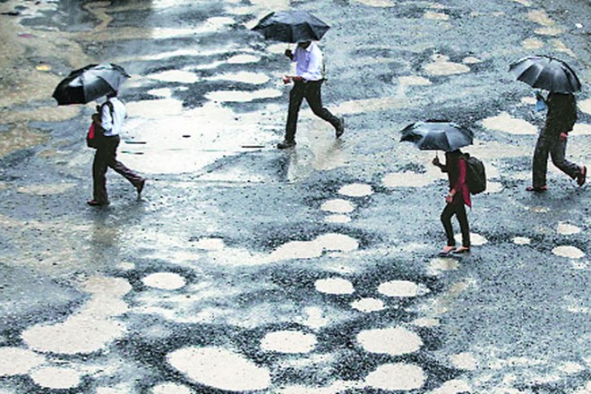 "The task will be carried out on war footing," UP Cabinet minister Siddhartha Nath Singh said. (Express Photo)