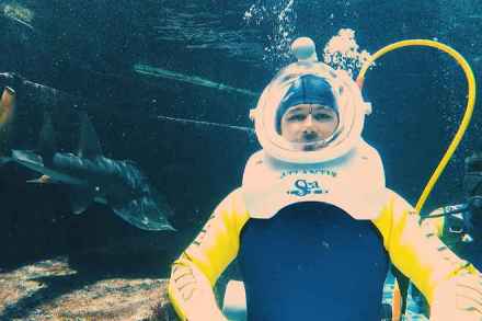 During the broadcast, Tolan was surrounded by 65,000 marine animals and fish