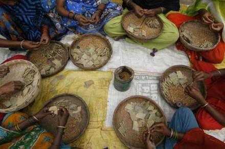 tobaco supporters, india tobacco farmers, tobacco farmers india, pro tobacco group lauds government, farmers sucicides