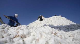 Cotton, high prices, China floods, excess supply, strategic inventory, Global output, stockpiles, stockpiles of cotton