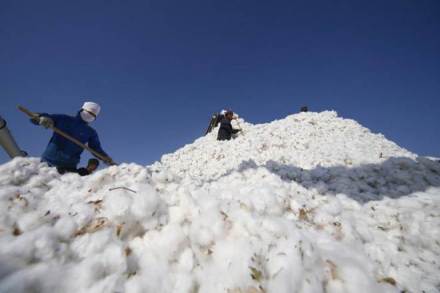 Cotton, high prices, China floods, excess supply, strategic inventory, Global output, stockpiles, stockpiles of cotton Cotton, high prices, China floods, excess supply, strategic inventory, Global output, stockpiles, stockpiles of cotton