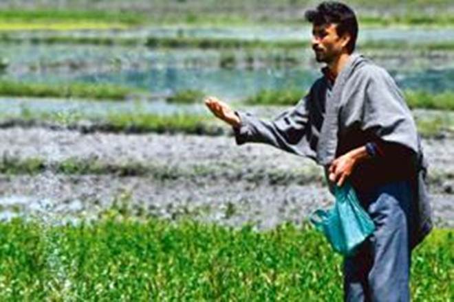 IFFCO, Fertilisers, lower urea sales, reduce consumption of urea