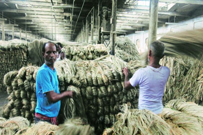Any dilutions will put lakhs of jobs in West Bengal at stake both in at the farm and mill levels. (IE) Any dilutions will put lakhs of jobs in West Bengal at stake both in at the farm and mill levels. (IE)