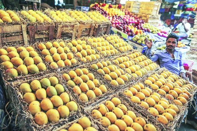 Full exports are likely to commence from the next season, officials said. 