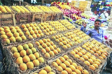 Full exports are likely to commence from the next season, officials said. 