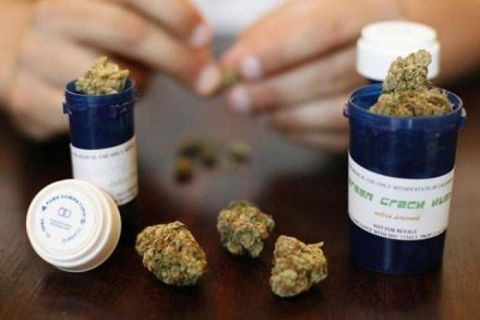 Health, medicines, Marijuana, treatment, epilepsy, epileptic patients, epilepsy disease, seizure, seizure attack, genetic epileptic encephalopathy