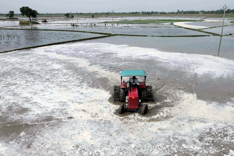 narendra modi, narendra modi news, prime minister, PM narendra modi, roadmap for narmada, narmada river, narmada river revival