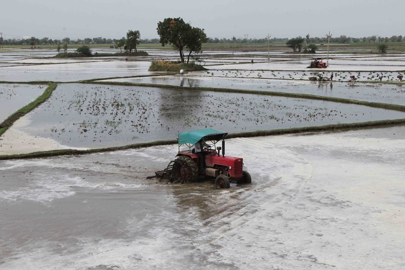 narendra modi, narendra modi news, prime minister, PM narendra modi, roadmap for narmada, narmada river, narmada river revival