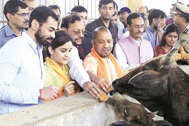 aparna yadav, yogi adityanath, akhilesh yadav, samajwadi party, samajwadi party split, aparna yadav yogi adityanath, uttar pradesh, aparna yadav news, mulayam singh yadav, shivpal yadav aparna yadav, yogi adityanath, akhilesh yadav, samajwadi party, samajwadi party split, aparna yadav yogi adityanath, uttar pradesh, aparna yadav news, mulayam singh yadav, shivpal yadav