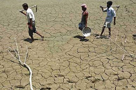 "Farmers are already committing suicide and the numbers will only increase due to this project. Does the government intend to make a Guinness World record in farmer suicides? You cannot lead farmers to the grave with your atrocious policies," it added. (Source: IE)