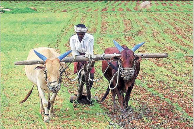 Big win for Devendra Fadnavis, deregulating agri markets move pays off as Rs 4,200 cr revenue registered in 2 years