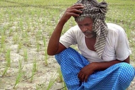 Maharashtra Farmers, Maharashtra Farmers strike, Devendra Fadnavis, Kisan Kranti Morcha, MP Raju Shetti