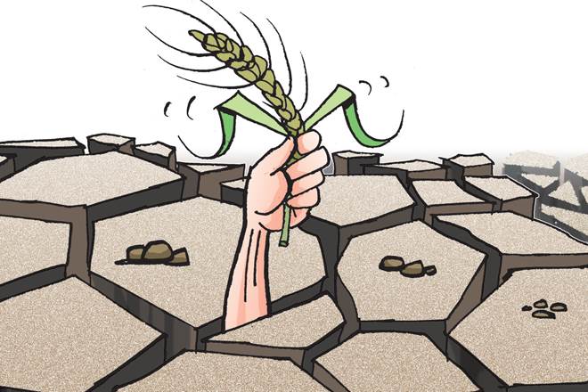 Agriculture is still limping with just 1.7% annual average growth during the term so far of the Modi government, and most of the farmers are struggling for survival. Agriculture is still limping with just 1.7% annual average growth during the term so far of the Modi government, and most of the farmers are struggling for survival.