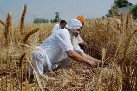 Prime Minister, Narendra Modi, evergreen revolution, agriculture sector, food security, nutrition security