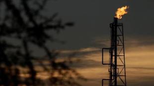 oil, oil price today, oil production, market, OPEC, fuel, transport fuel