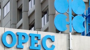 OPEC, opec panel,oil producer group, crude output, drain inventories, support prices