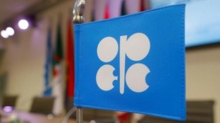 OPEC oil cut extension, OPEC, Financial traders, SK Energy