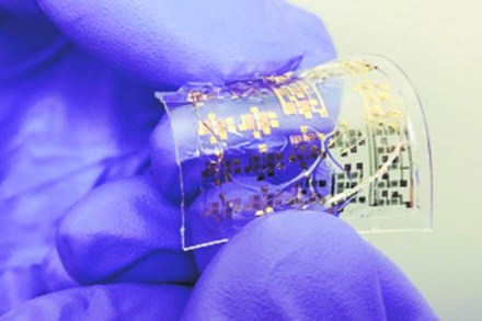 For some time now, R&D work on easily degradable electronics has occupied the scientific community's mindspace.
