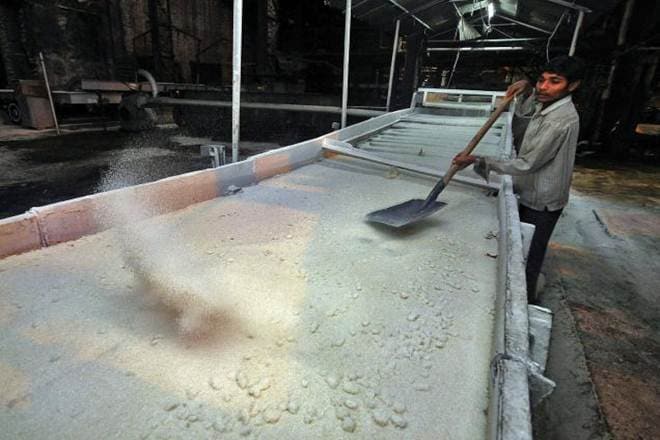 sugar import, sugar import news, sugar import latest news, sugar import india, india sugar import, sugar, sugar price, sugar price india, high sugar price